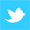 tl_files/Pagodenburg/Bilder/Startseite/twitter_logo.png