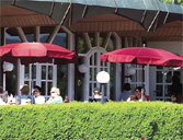 Café – Restaurant
